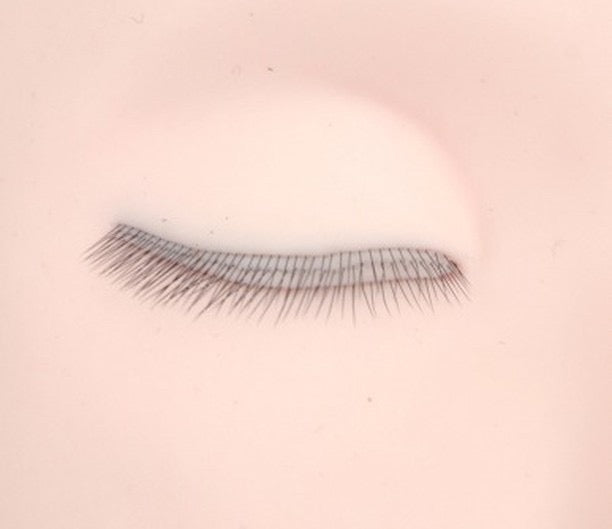 Lash Practice Head with 3 Layers